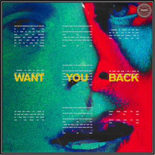 5 Seconds of Summer – Want You Back