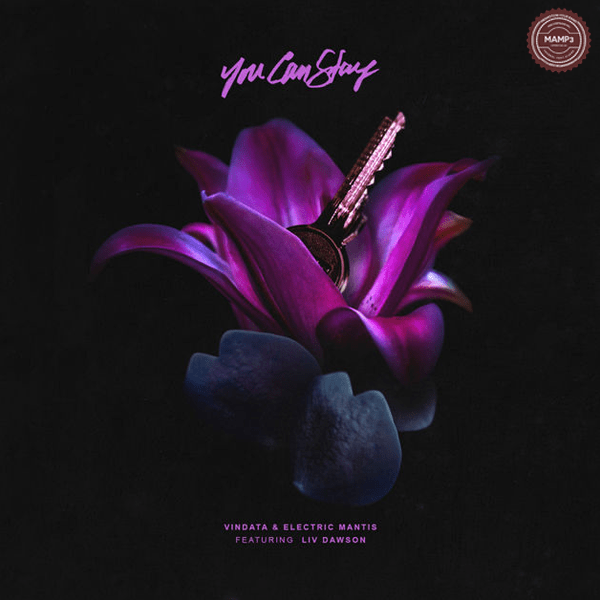 Electric Mantis – You Can Stay (feat. Liv Dawson)