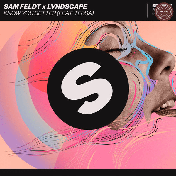 Download, Music, iTunes, Sam Feldt, LVNDSCAPE, Know You Better, essa