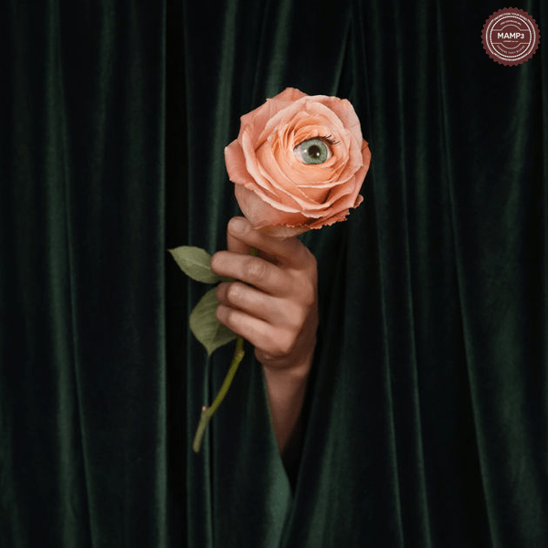 Download, Music, iTunes, Marian Hill, Unusual, Album