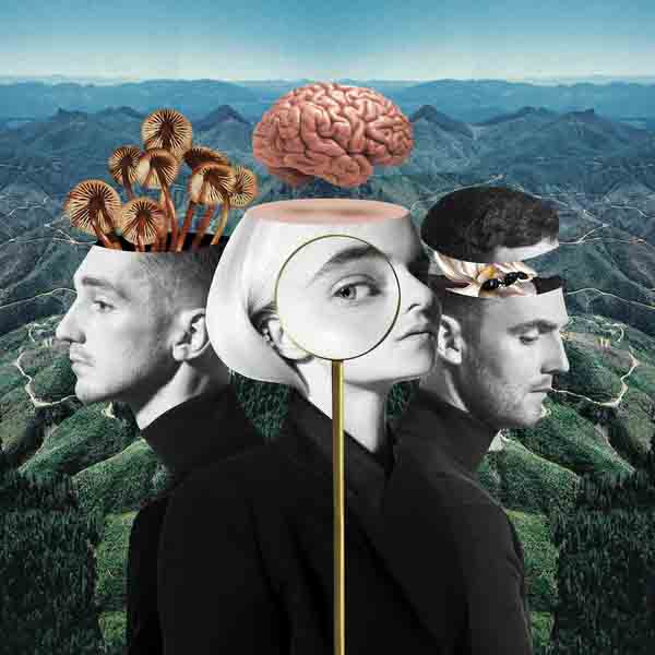New Album, Free Music, Free iTunes M4A, Female Singer, Female Music, Clean Bandit, What Is Love? (Deluxe)