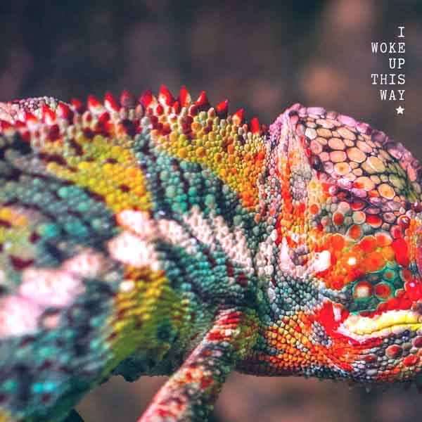 Free Music, Free iTunes M4A, New Single, Female Singer, Female Music, Kaia Höl, I woke up this way